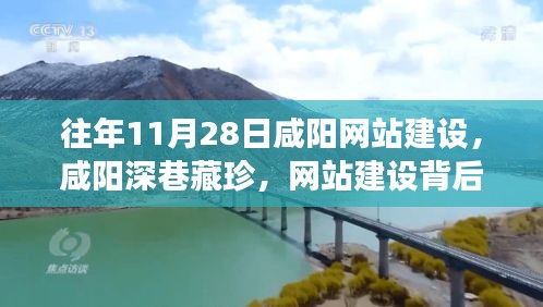 网站案例 第434页