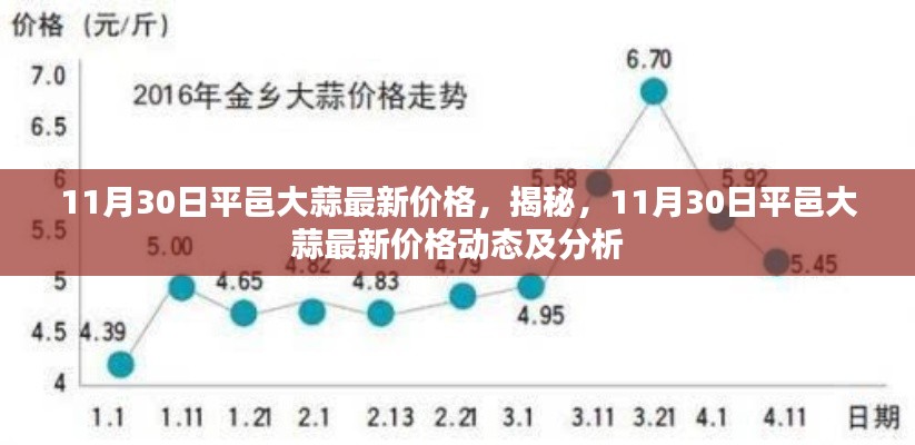 揭秘，11月30日平邑大蒜最新价格动态及市场分析