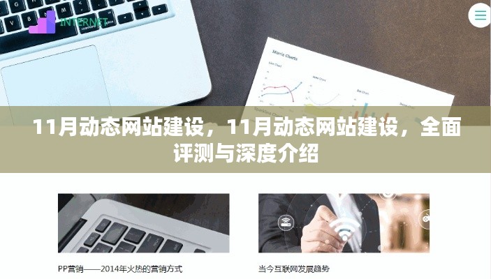 11月动态网站建设，全面评测与深度介绍指南