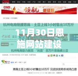 网站案例 第425页