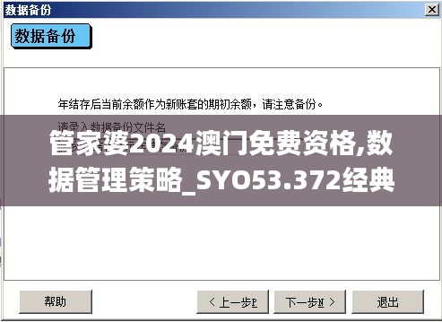 管家婆2024澳门免费资格,数据管理策略_SYO53.372经典版