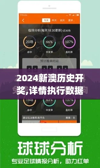 2024新澳历史开奖,详情执行数据安援_商务版DRQ8.538