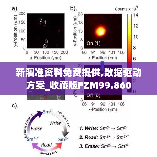 新澳准资料免费提供,数据驱动方案_收藏版FZM99.860