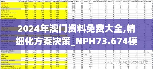 2024年澳门资料免费大全,精细化方案决策_NPH73.674模块版