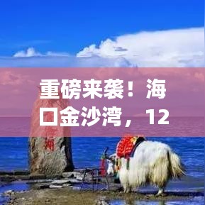 海口金沙湾重磅更新，12月最新动态揭晓，自然之美启航心灵之旅