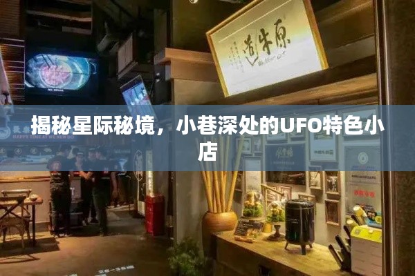 囊萤映雪 第5页