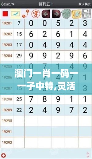澳门一肖一码一一子中特,灵活操作方案设计_Elite98.233-8