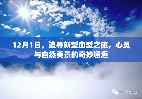 屦贱踊贵 第4页