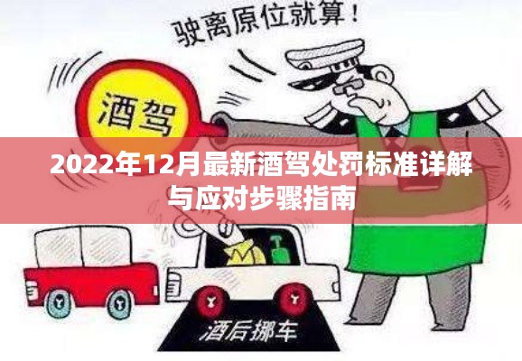 2022年最新酒驾处罚标准解析及应对指南