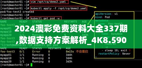2024澳彩免费资料大全337期,数据支持方案解析_4K8.590-7
