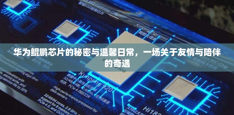 华为鲲鹏芯片背后的故事，友情与陪伴的奇遇