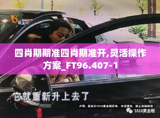 四肖期期准四肖期准开,灵活操作方案_FT96.407-1
