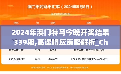 2024年澳门特马今晚开奖结果339期,高速响应策略解析_Chromebook49.929-9