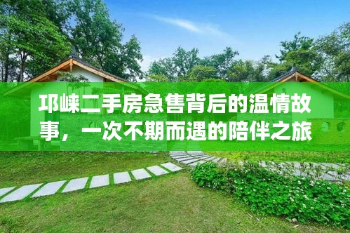 邛崃二手房急售背后的温情与陪伴之旅