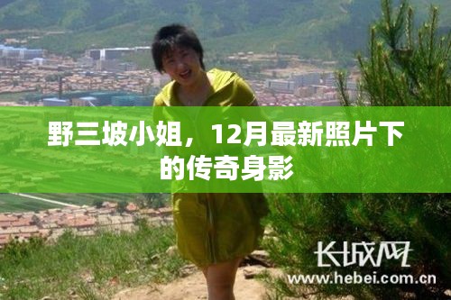 吉光片羽 第5页