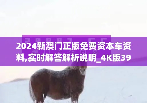 2024新澳门正版免费资本车资料,实时解答解析说明_4K版39.911-9