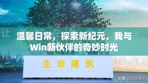 倦鸟知还 第4页