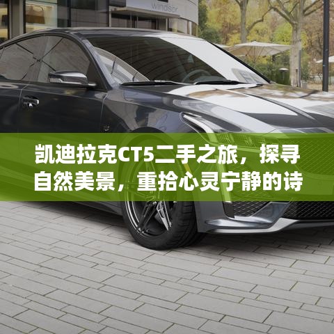 青天白日 第4页