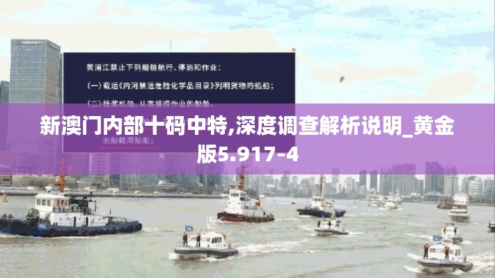 新澳门内部十码中特,深度调查解析说明_黄金版5.917-4