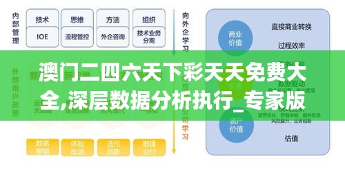 澳门二四六天下彩天天免费大全,深层数据分析执行_专家版59.513-7