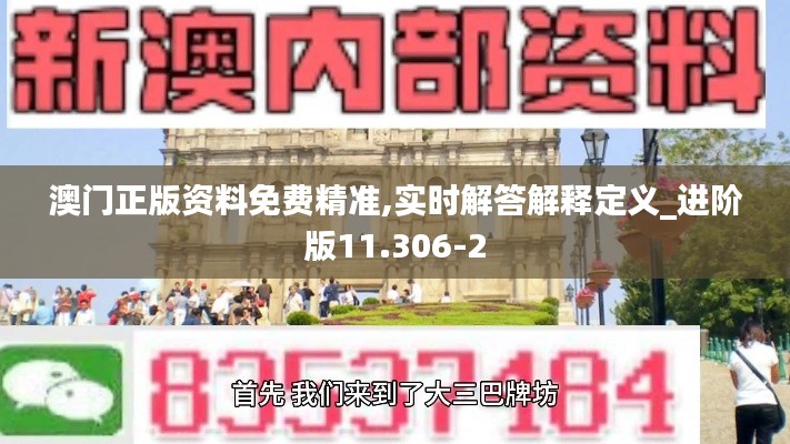 澳门正版资料免费精准,实时解答解释定义_进阶版11.306-2