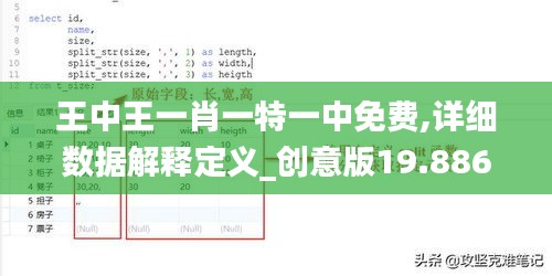 王中王一肖一特一中免费,详细数据解释定义_创意版19.886-5