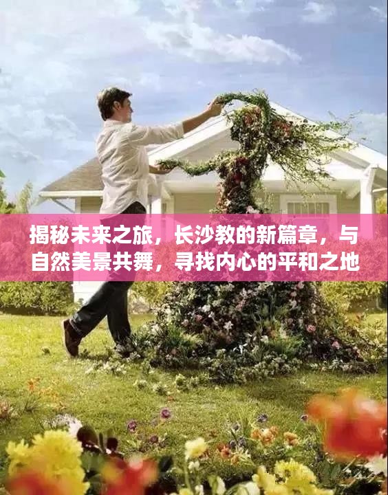 有张没智 第4页