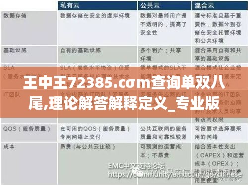 王中王72385.cσm查询单双八尾,理论解答解释定义_专业版1.912