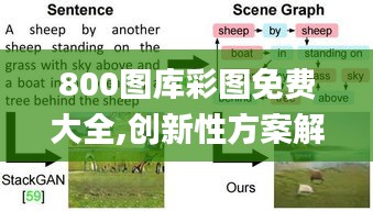 800图库彩图免费大全,创新性方案解析_影像版87.761
