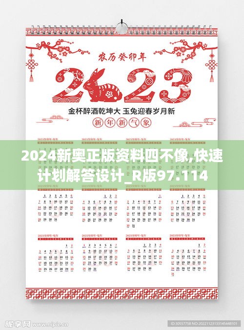 2024新奥正版资料四不像,快速计划解答设计_R版97.114