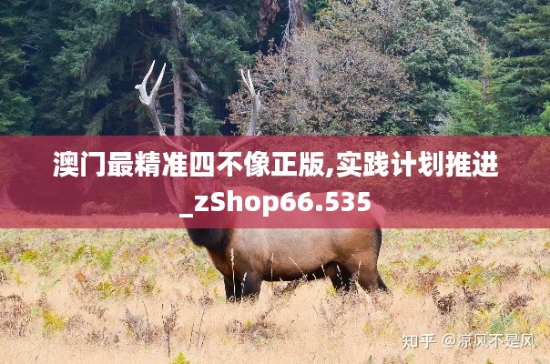 澳门最精准四不像正版,实践计划推进_zShop66.535