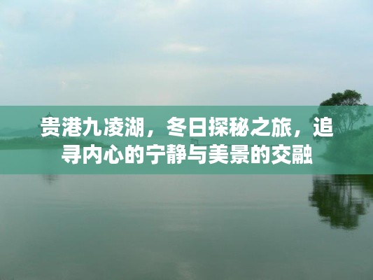 流光飞舞 第4页