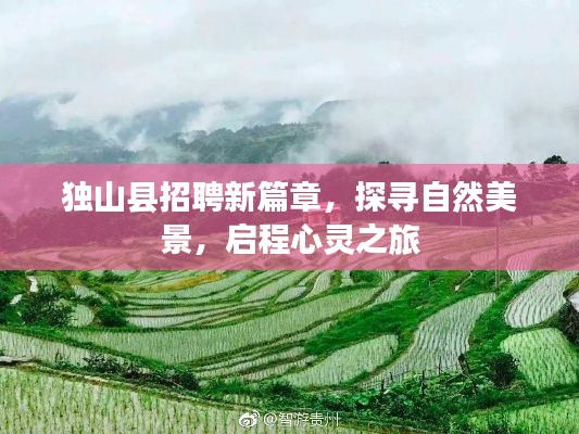 张王李赵 第4页