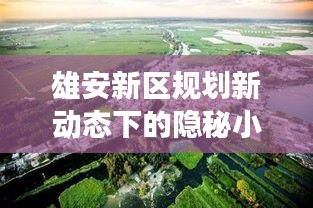 雄安新区规划新动态下的隐秘小巷美食探秘之旅