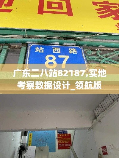 广东二八站82187,实地考察数据设计_领航版6.184