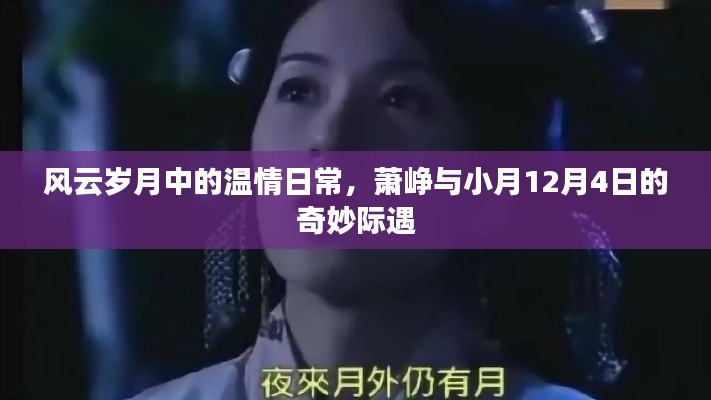 建站服务 第353页