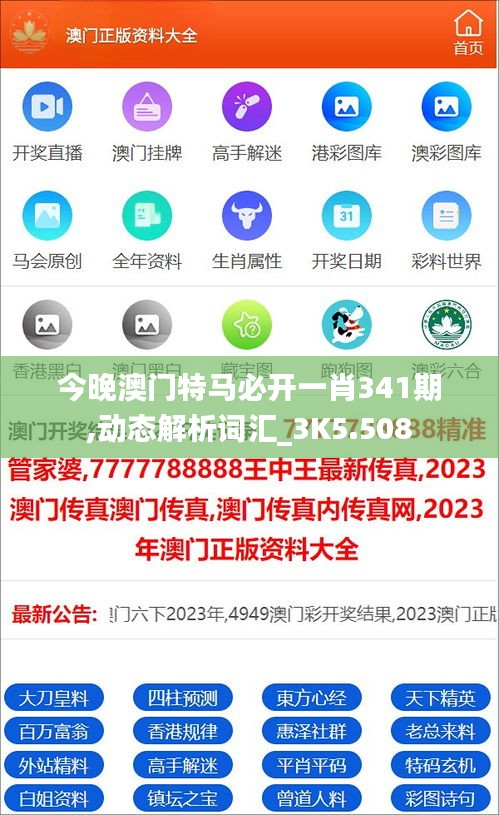 今晚澳门特马必开一肖341期,动态解析词汇_3K5.508