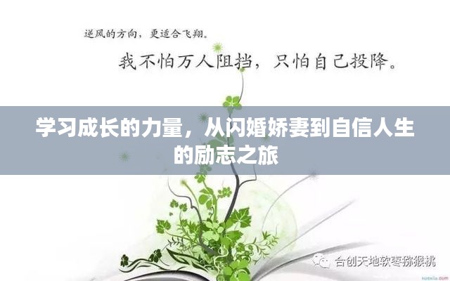 七贵三公 第4页