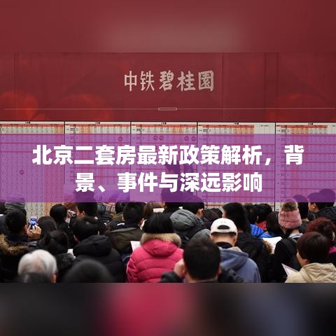 网站案例 第350页