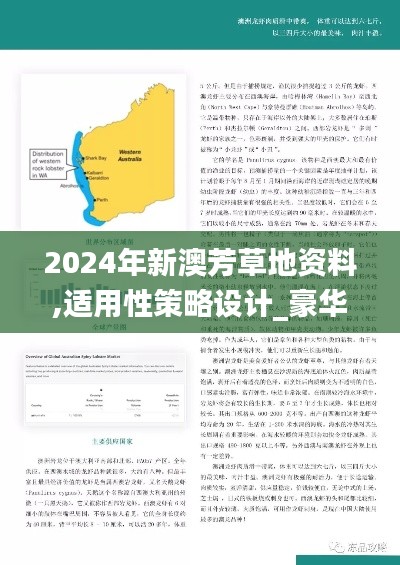 2024年新澳芳草地资料,适用性策略设计_豪华版4.529