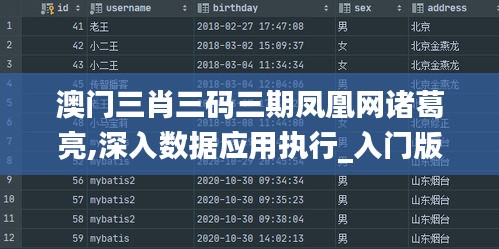 澳门三肖三码三期凤凰网诸葛亮,深入数据应用执行_入门版1.268