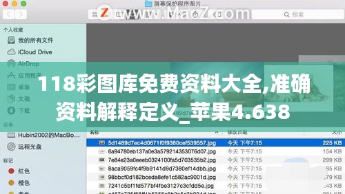 全神贯注 第4页