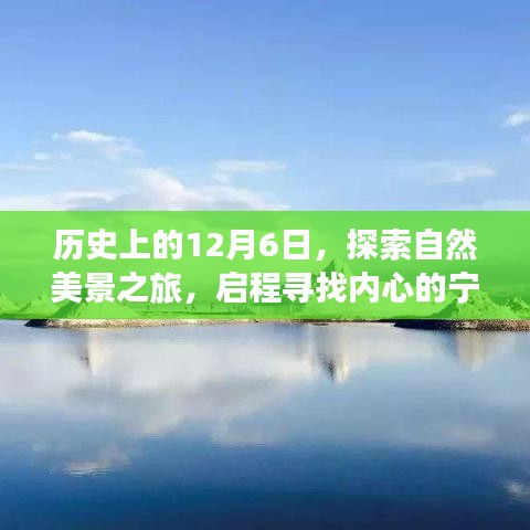 自作主张 第4页