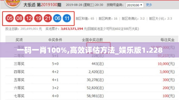 一码一肖100%,高效评估方法_娱乐版1.228