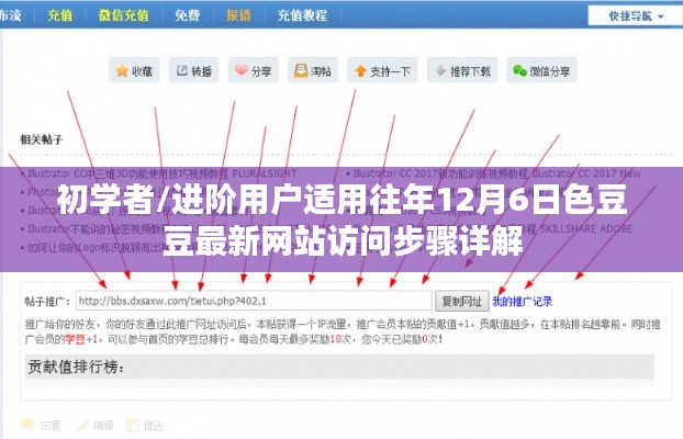 「往年12月6日色豆豆网站访问步骤详解，适合初学者及进阶用户」