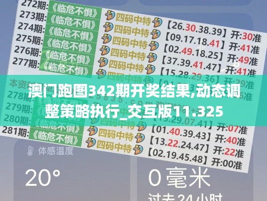 澳门跑图342期开奖结果,动态调整策略执行_交互版11.325