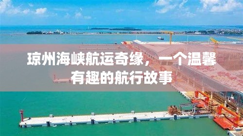 展翅欲飞 第4页