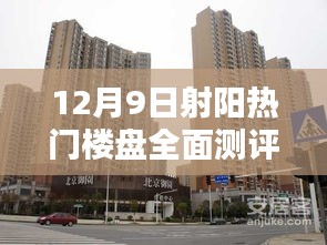 飞来横祸 第3页