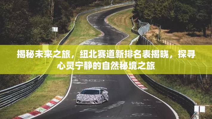 羊肠鸟道 第4页
