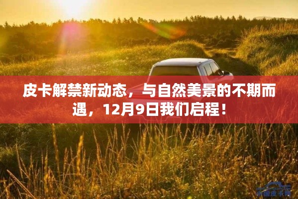 棒打出头鸟 第4页